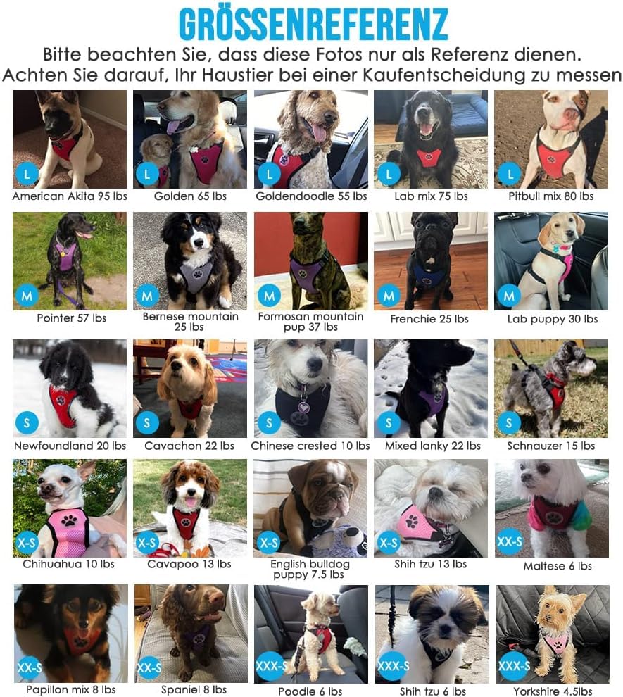 SlowTon Hundegeschirr mit Sicherheitsgurt für Auto, Doppellagiges atmungsaktives Latex-Netzgewebe Welpengeschirr, reguläres Sicherheitsgeschirr Hund für alle alltäglichen Sportarten(Schwarz, S)