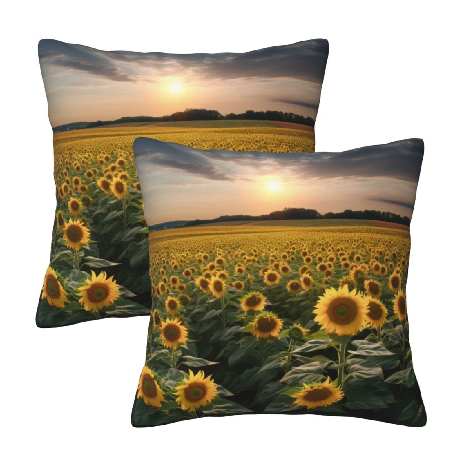 Sunflower Farmland Throw Pillow Cases 2 Pack Square Pillowcases Soft Pillow Protectors for Couch Livingroom Sofa Bed Office Car,45x45 CM