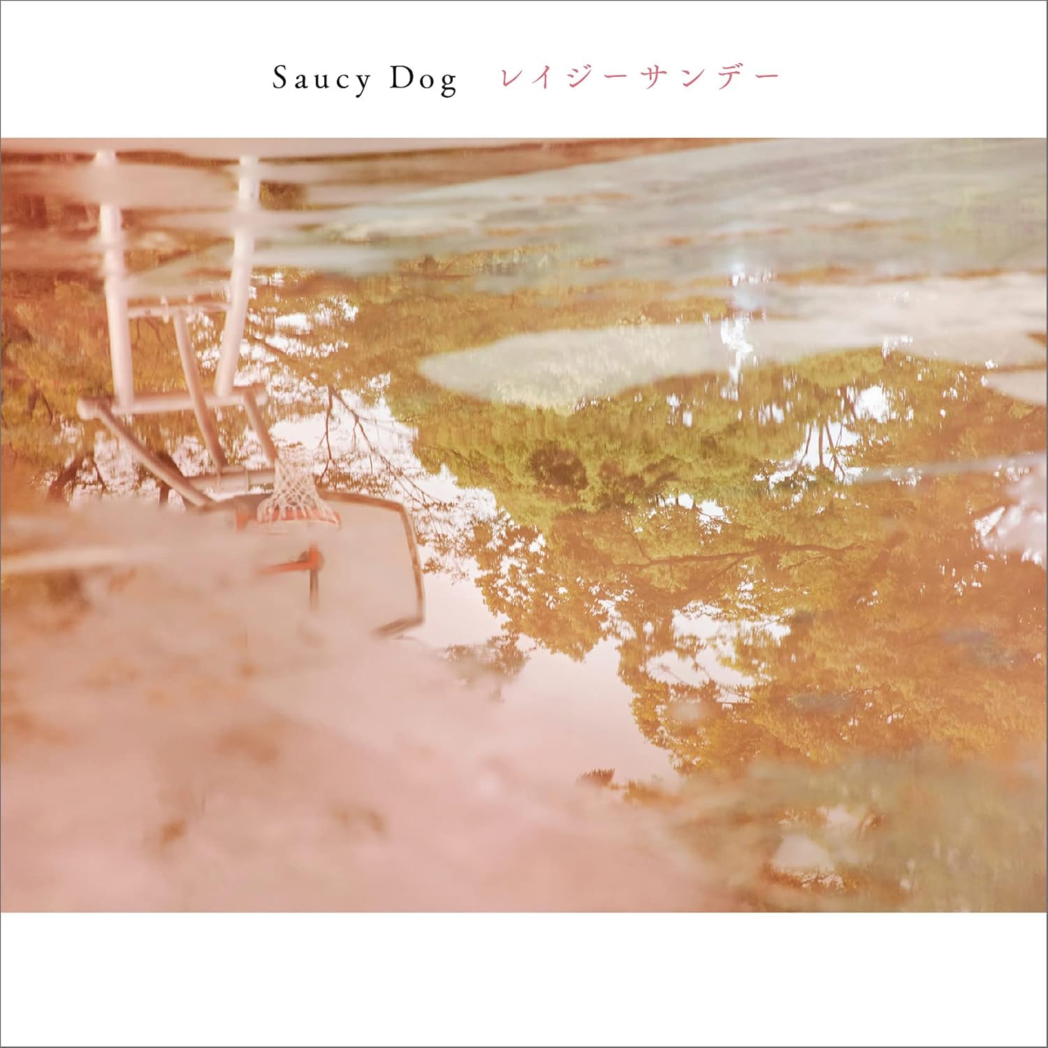 Amazon レイジーサンデー 特典対象外 Saucy Dog J Pop ミュージック