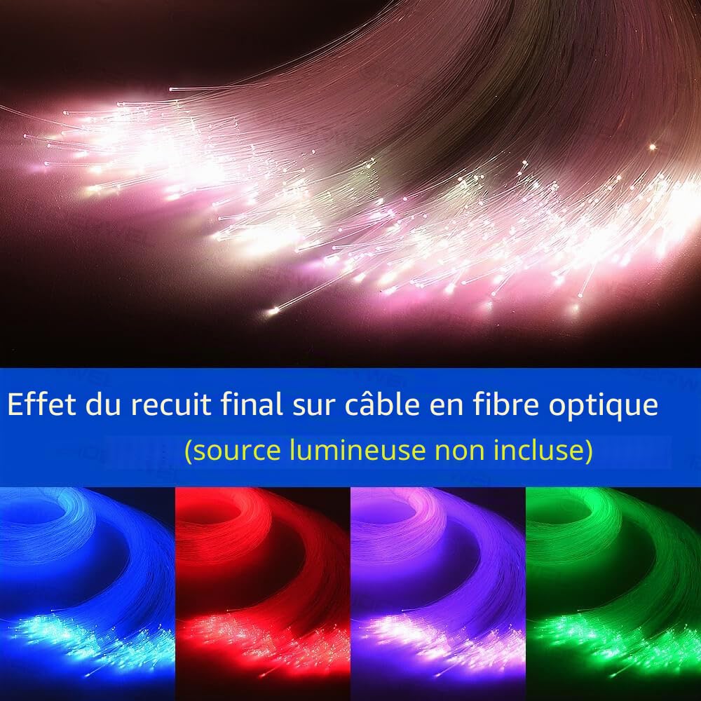 Câble à fibre optique LED 3 m 300 pièces 0,75 mm PMMA Plastic End Glow LED fibre optique pour plafond étoilé éclairage, tous les types de pilotes Light Engine (sans moteur à fibre optique)