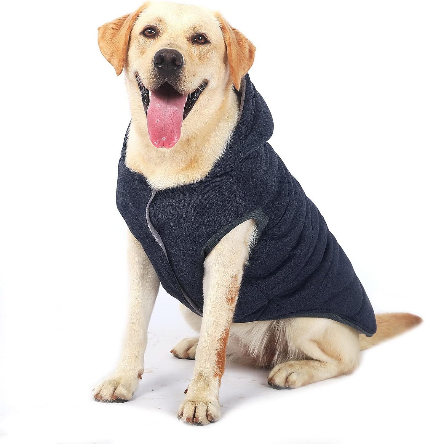 Ranphy Dog Winter Fleece Coat Cold Weather Jacket Hoodie for Small Medium Dogs Pet Cotton Padded Vest Coat
