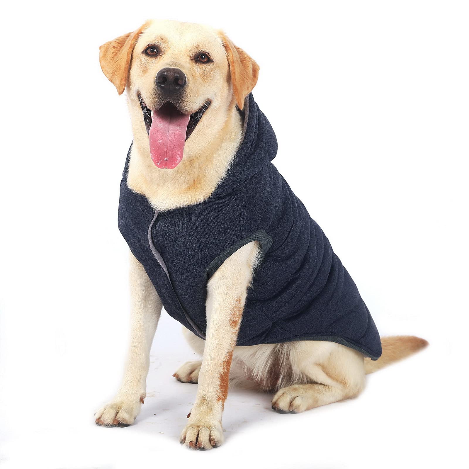 ジャケット・アウター dog GUNZE グンゼ ドッグウェア 小型犬 綿100% パッチジャガード 犬