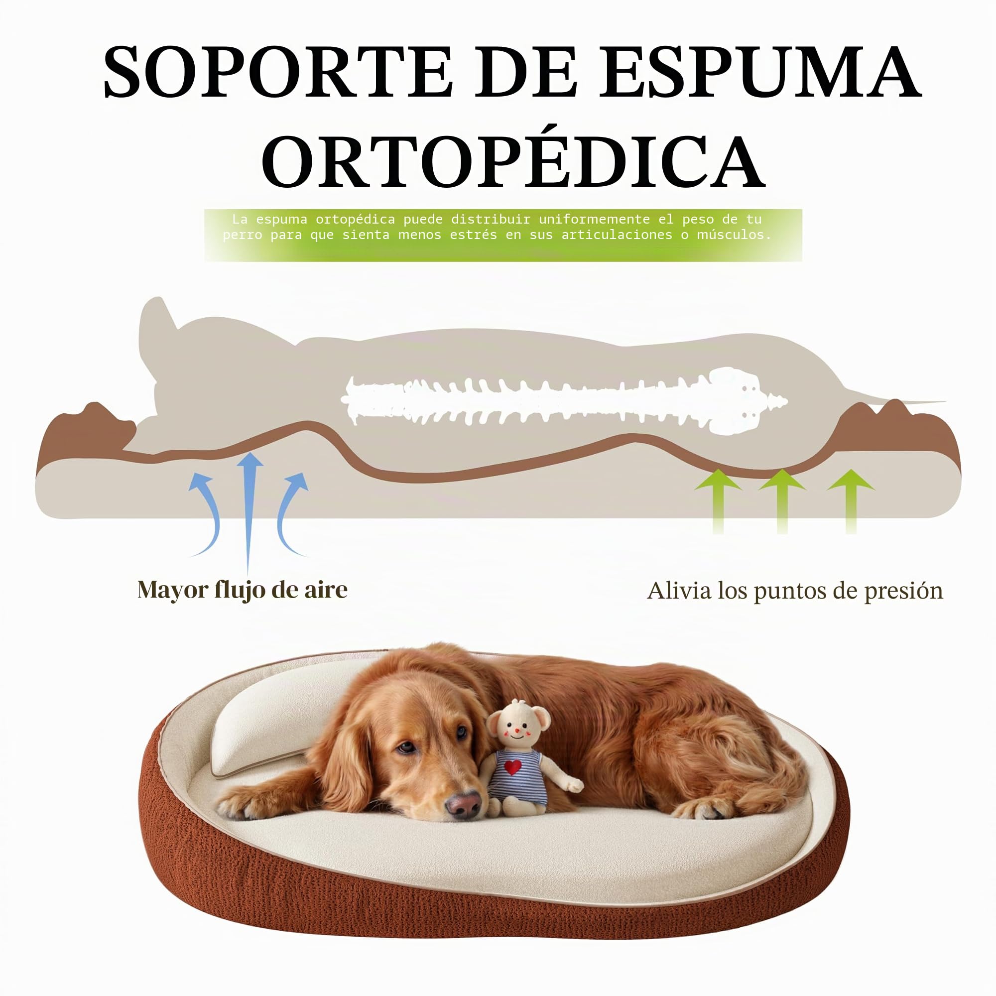 Cama ortopédica XXL para perros con cojín – Cómodo sofá para perros de espuma viscoelástica, funda extraíble y lavable – Cama para perros grandes, duradera y acogedora