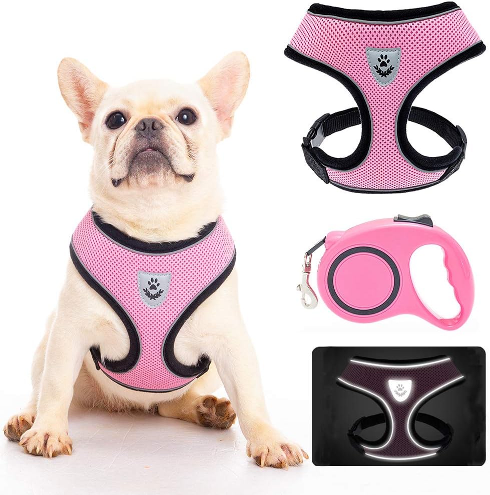 Dog Harness with Retractable Leash Set - Reflective Soft Padded Mesh Walking Vest No Pull Pink Puppy Harness and Adjustable 16.10ft Leash for Small Medium Dogs Puppies Cats Pets