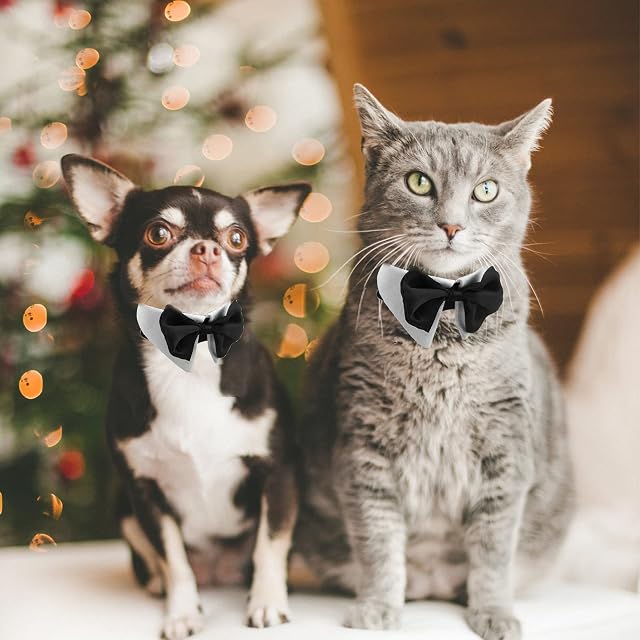 Foto 6 de 7 de HACRAHO Collar de esmoquin para gatos, 1 pieza de color blanco, formal, pajarita para cachorros