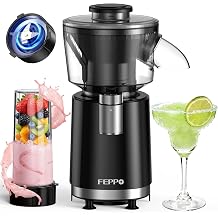 FEPPO Snow Cone Machine &amp; Smoothie Blender 2 in 1, 700W Powerful Shaved Ice Machine Slushine Machine, Frozen Margarita Machine with Stainless Steel Blade, Smoothie Recipe, for Home Kitchen Party