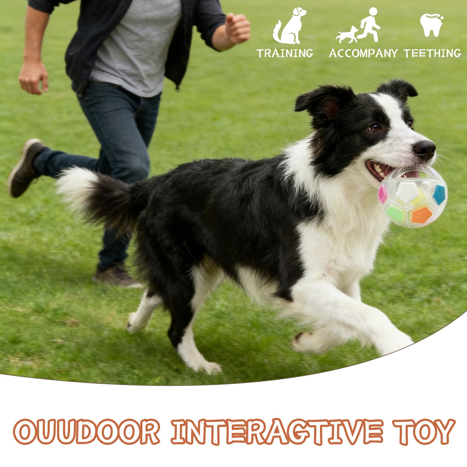 View 5