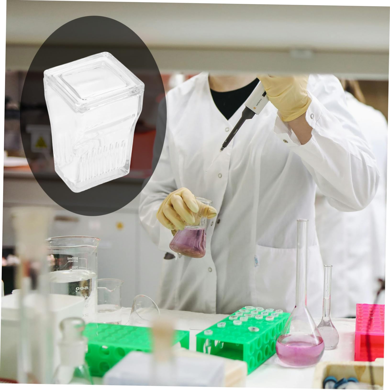 Alipis Vasca di per 9 Vetrini Colorazione Esperimenti per in Integrato Vetro Trasparente con Porta con Elevata Chiarezza Laboratorio