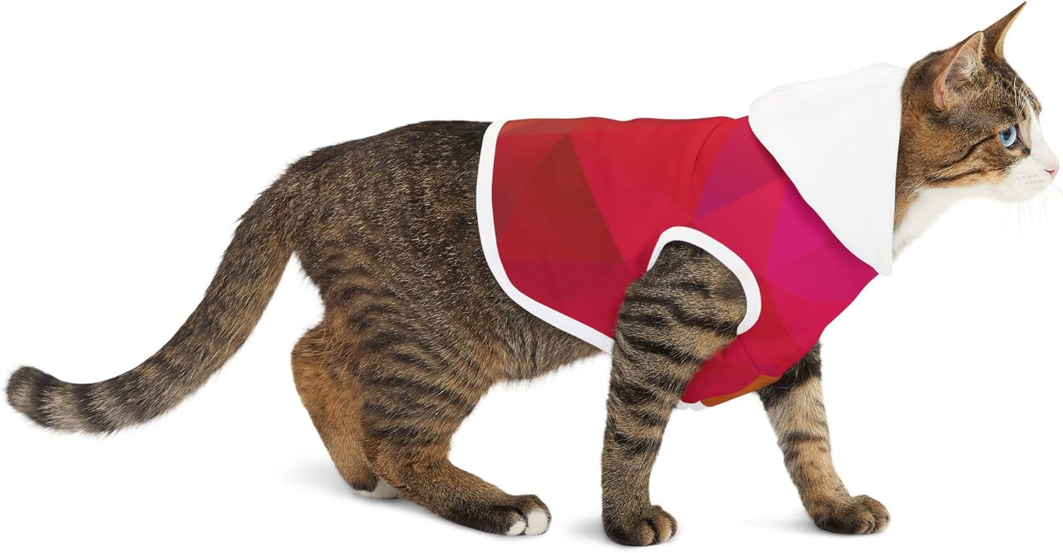 Colorful Geometry Pet Hoodie