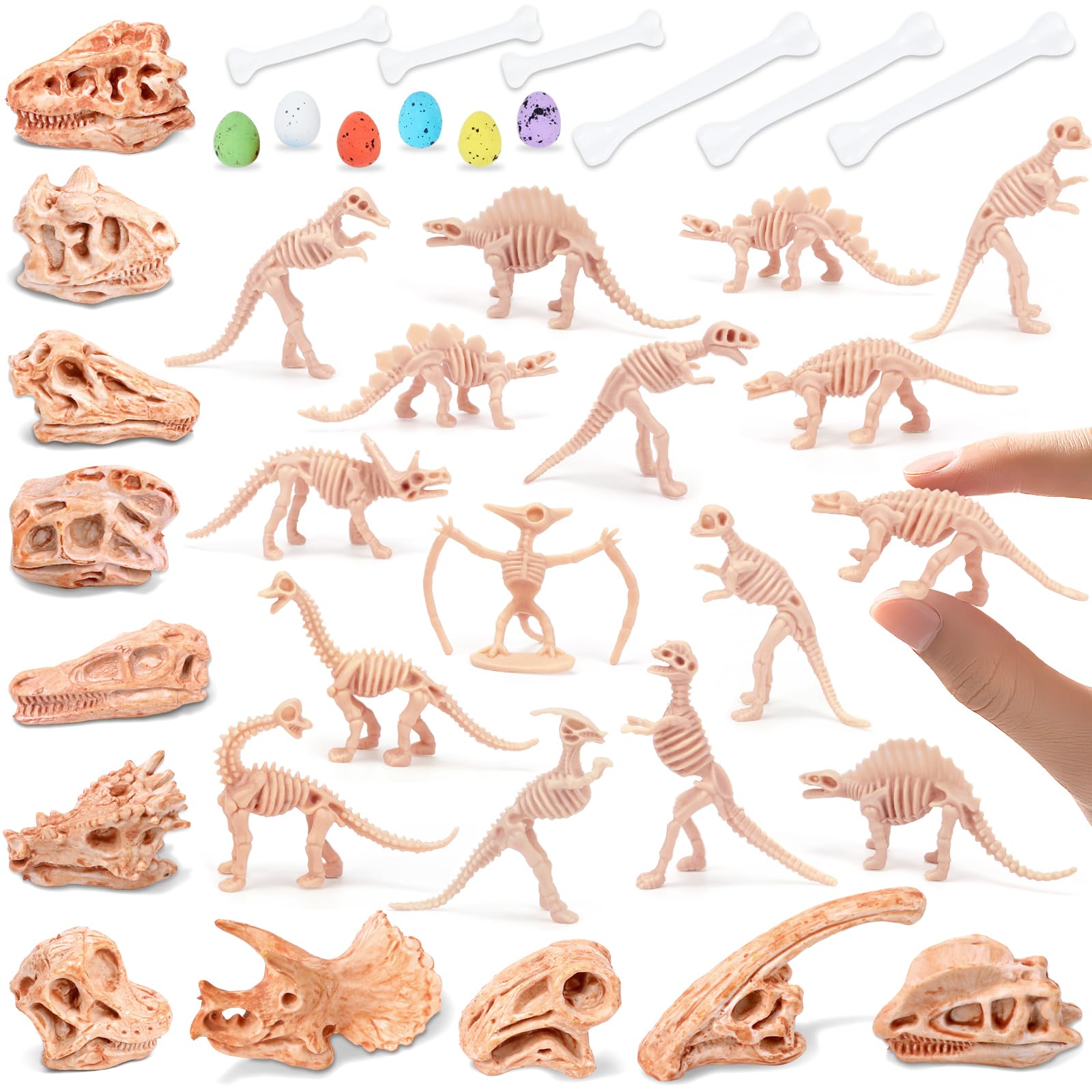 66 pezzi di osso di dinosauro da 9,4 cm per sandbox, 24 scheletro fossile, 12 teschio di plastica, 24 mini uova di dinosauro, 6 ossa, scavo di sabbia per cestino sensoriale, festa di compleanno