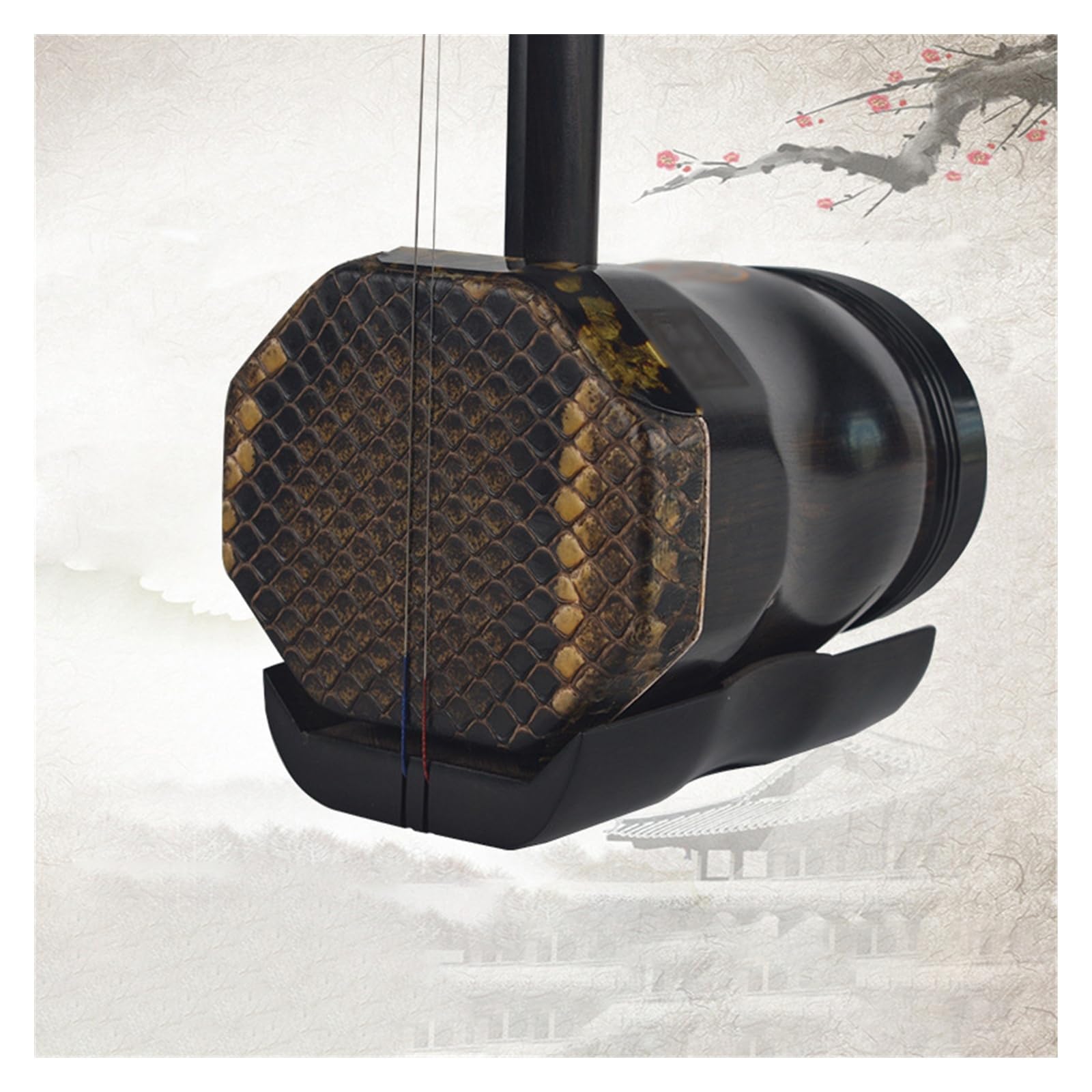 Erhu chinois, Erhu chinois octogonal plat à 2 cordes en bois de santal noir avec étui et accessoires
