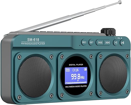 Small Digital FM Radio Bluetooth Speaker, Handheld Rechargeable Radio Wireless Speaker, LCD Display, Double Speakers, Headphone Jack, Support USB/Micro SD Card MP3 Play for Home Outdoor