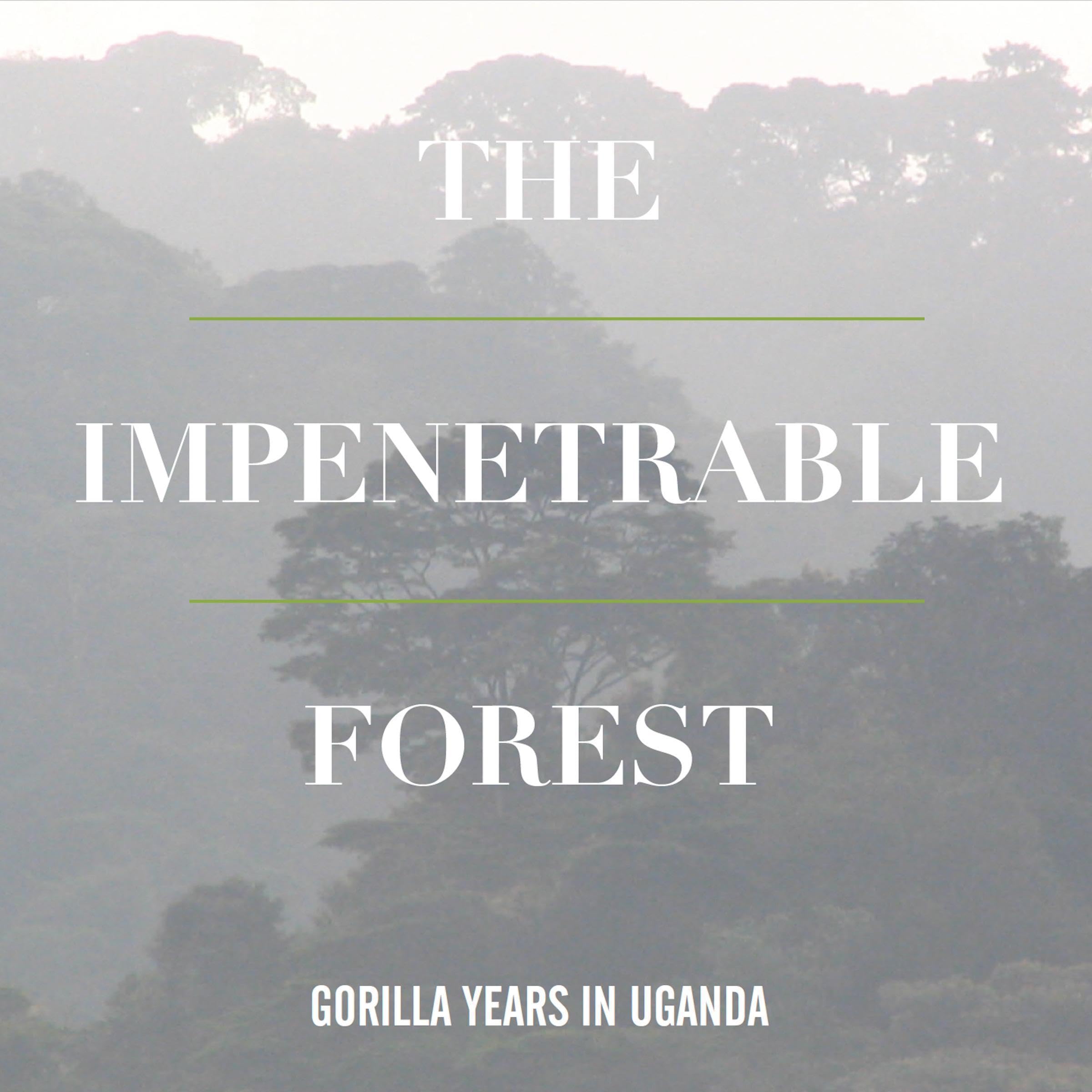 Cover art for The Impenetrable Forest