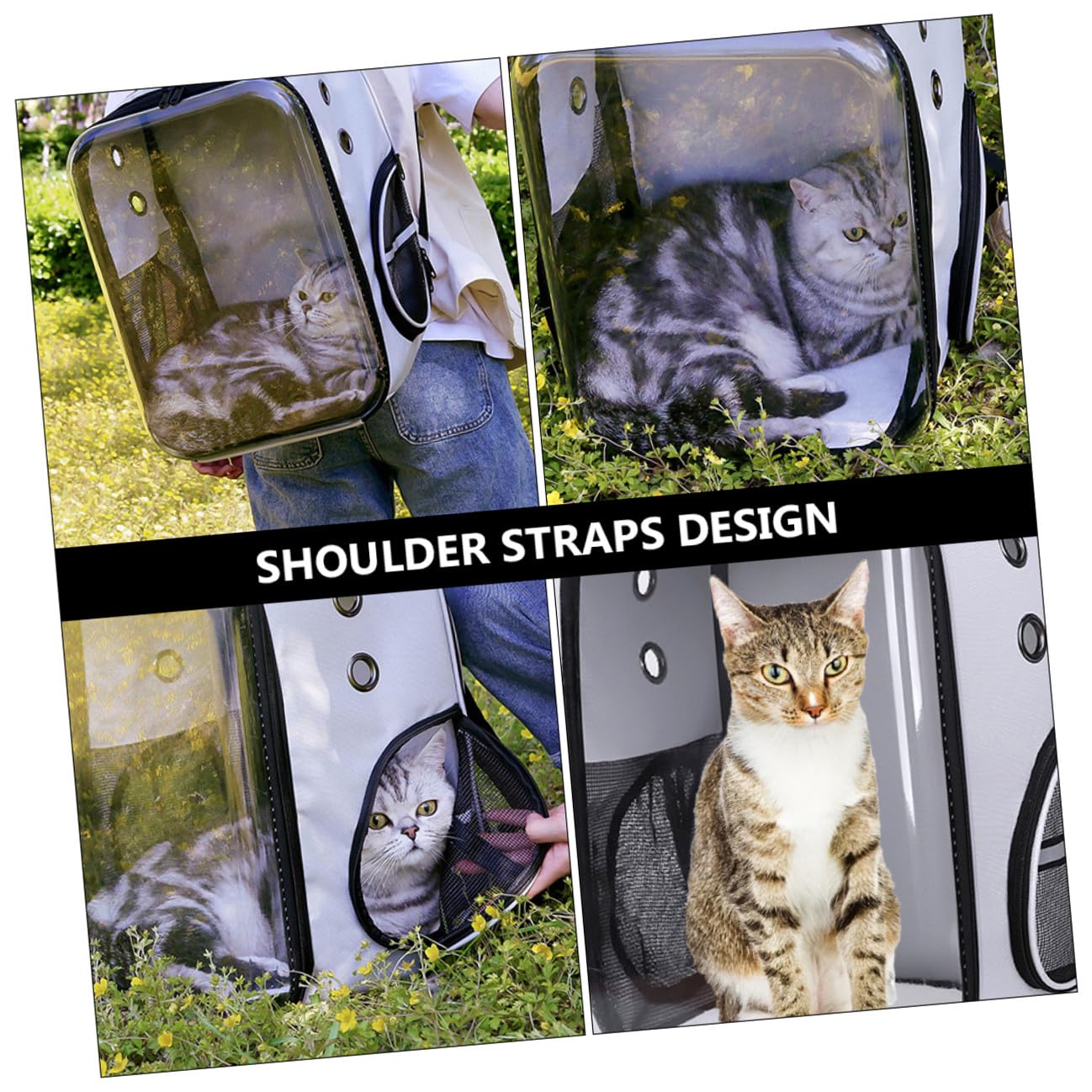 Bolsa de Transporte para Mascotas Transparente y Plegable | PC y Tela Oxford, Ligera y Cómoda de Llevar, para Gato y Perro Pequeño, Uso Exterior