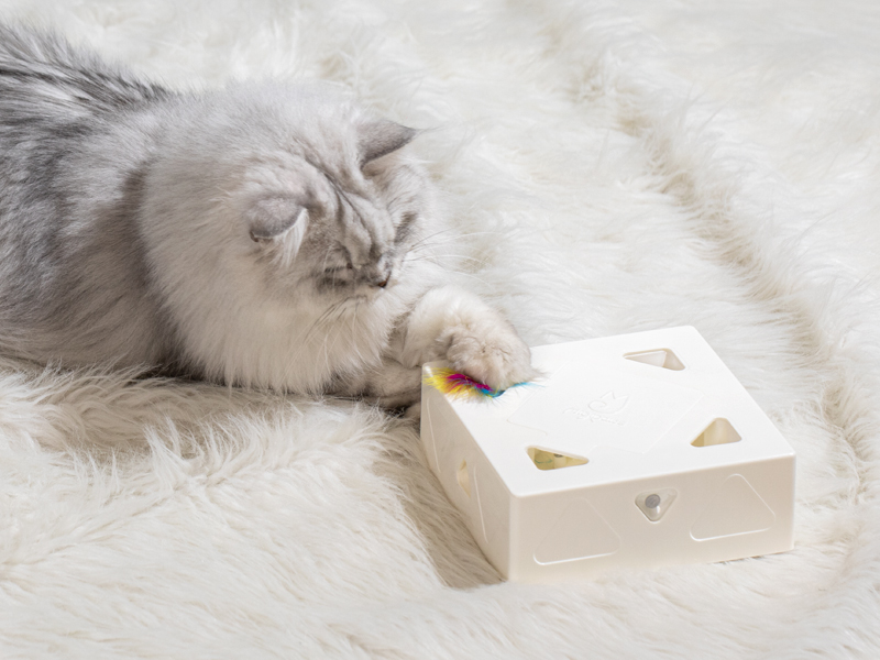 Amazon.com: Migipaws Interactive Cat Toy -Migibox Without Popskin