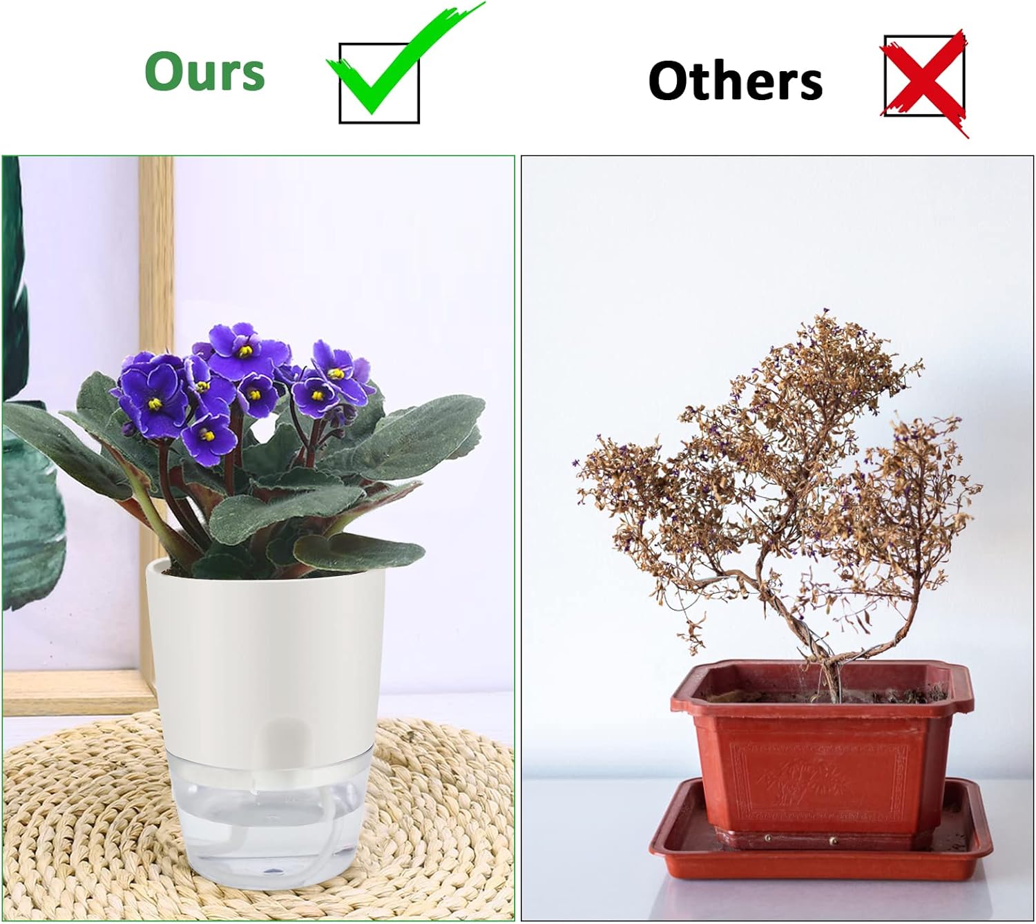 ShineMe Self Watering Pots, 5 Pack Self Watering Planters for Indoor Plants, 4.1 inch Plastic Plant and Flower Pots for African Violets, Herbs, Aloe, Peace Lily with Absorbent Cotton Rope - Image 6