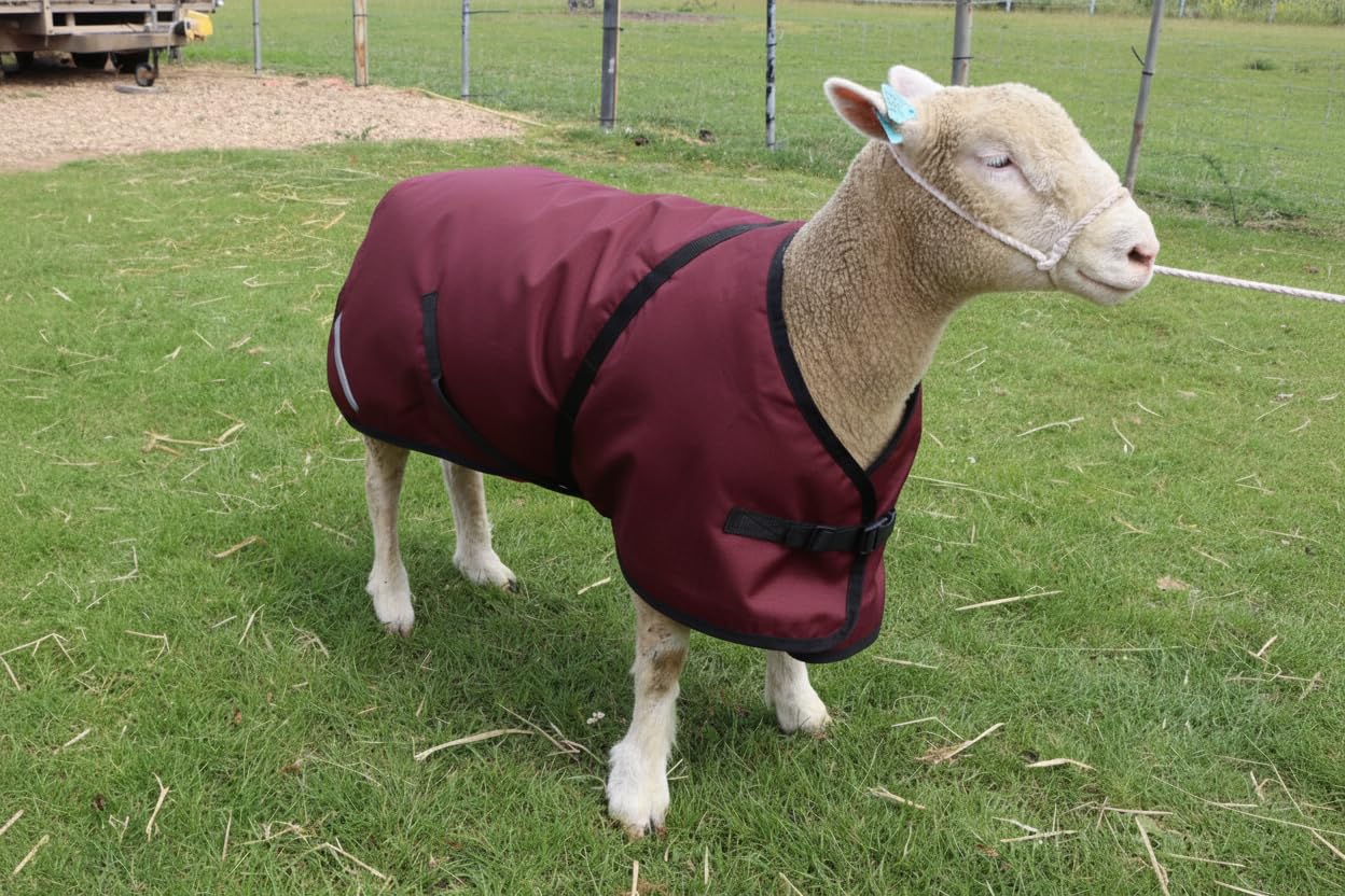 Ruggles Sheep Rug - Sheep Coat - Waterproof Breathable 600D Fabric (Wine, Large)