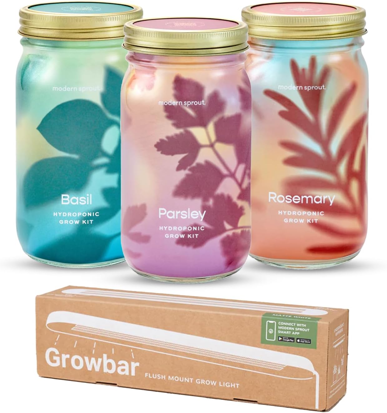 Modern Sprout Garden Jar & Herb Stripper Bundle, Self-Watering Herb Grow Kit w/Recyclable Mason Jar + 3-in-1 Prep, Peeler & Grater Plate, Indoor Gardening & Kitchen Gift Set (Rosemary & Parsley)