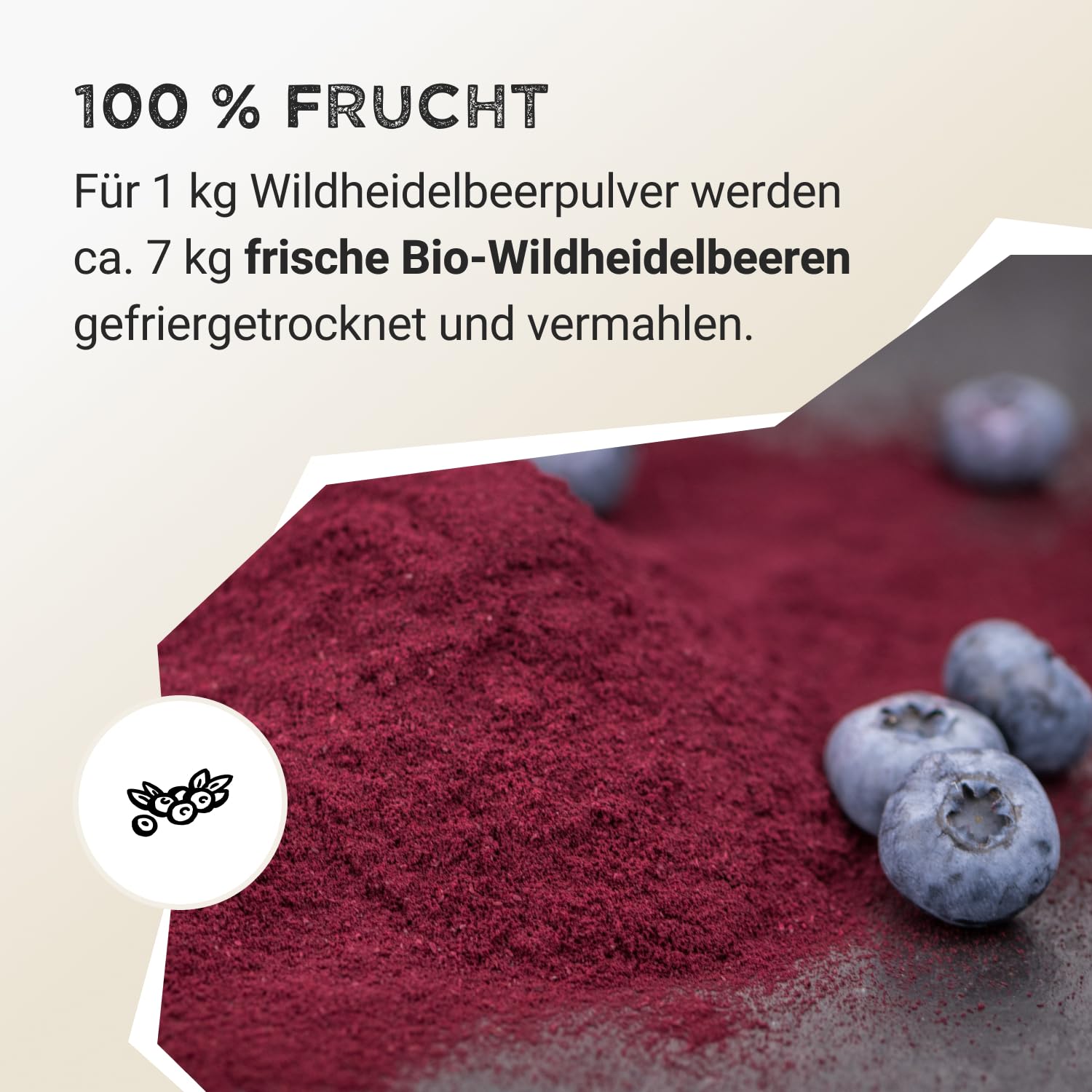 Harvest Republic Bio dzika jagoda w proszku z liofilizowanych owoców, idealna do koktajli, owsianki i miseczek śniadaniowych, 100% proszku owocowego bez dodatku cukru (125 g)