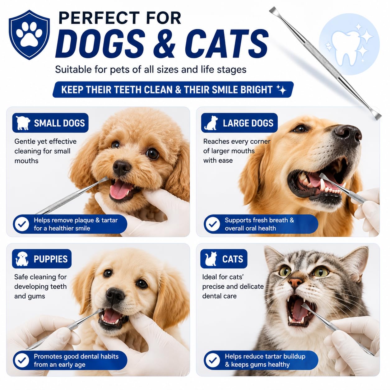 Herramientas dentales Rascador de sarro de doble cabeza Rascador de dientes dental Removedor de placa (perfecto para gatos y perros) Herramienta de limpieza de dientes de acero inoxidable