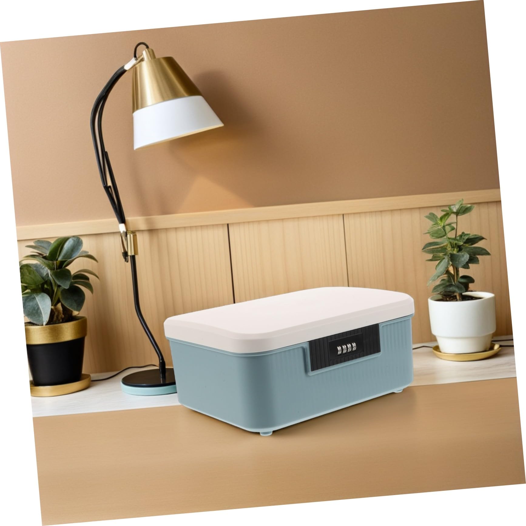Scatola di Archiviazione con Blocco Combinazione Portatile Antishock per Documenti e Oggetti Personali e Privacy per Ufficio e Casa