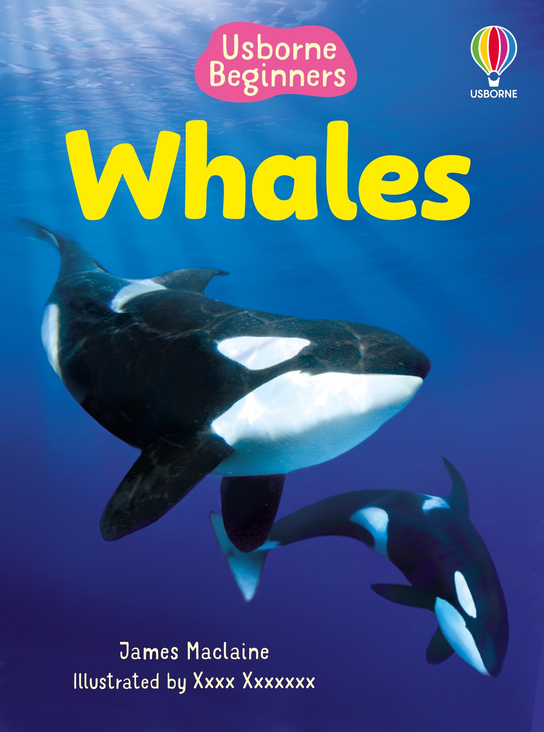 Whales (Usborne Beginners)