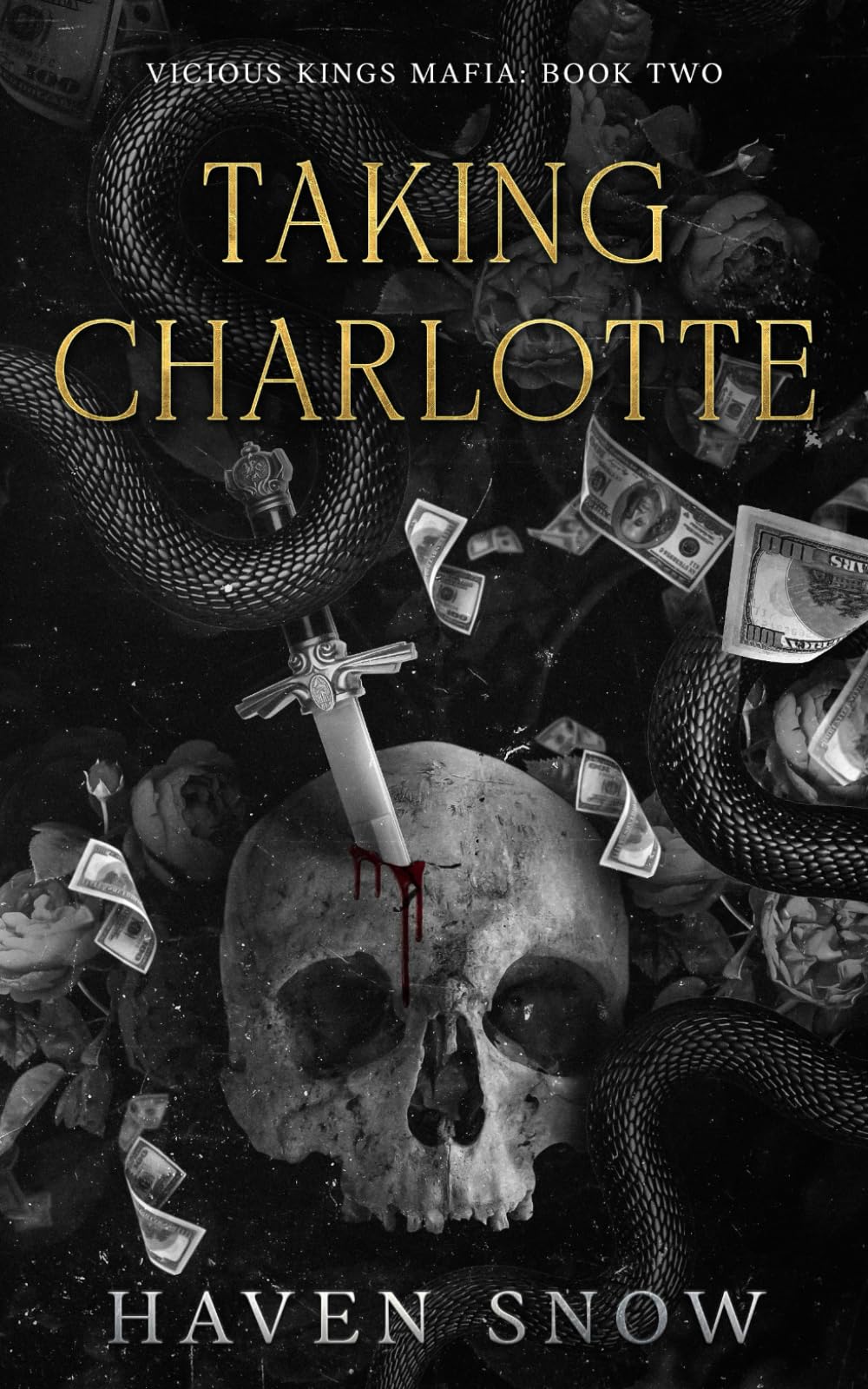 Taking Charlotte: Vicious Kings Mafia: Book Two