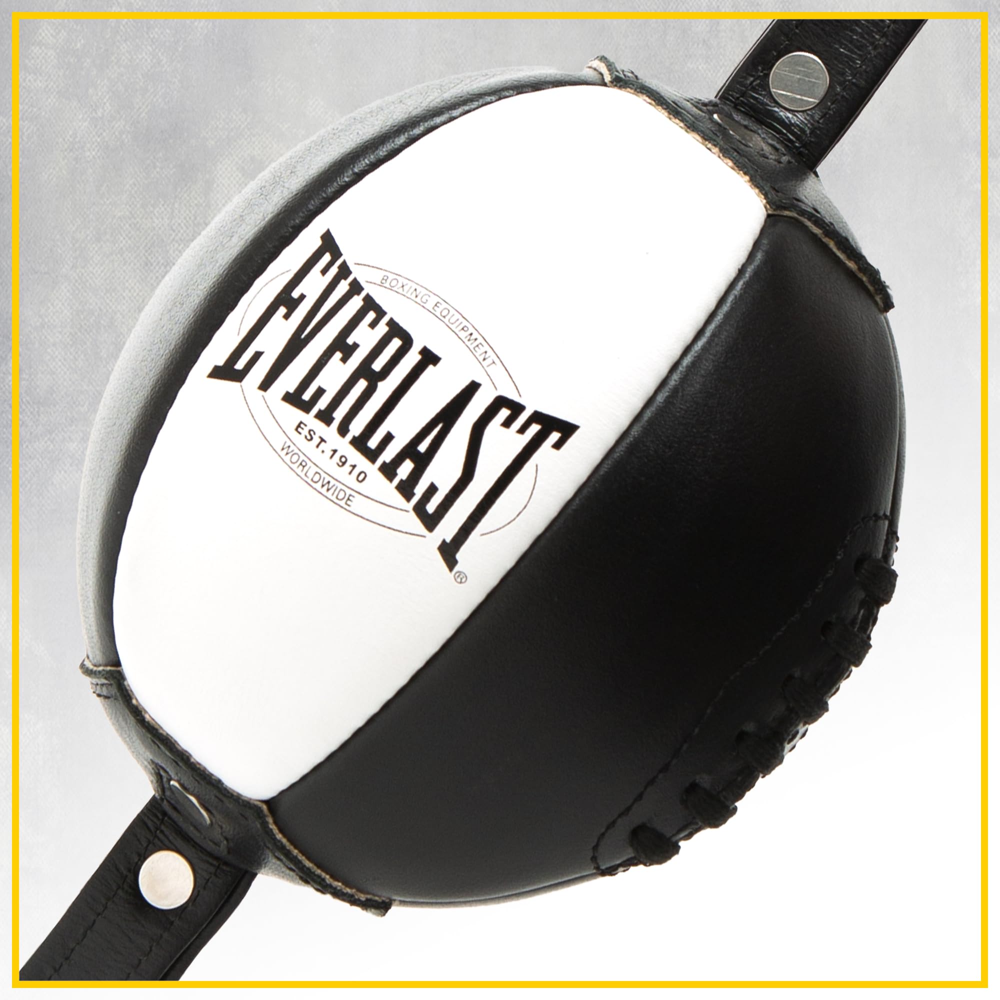 Everlast Unisex - Adult 1910 Double End Speed Bag Punching