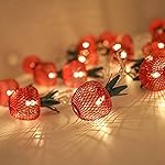 One94Store 3 Meter 10 LED Apple Metal String Lights – Perfect for Indoor/Outdoor Decoration for Diwali, Christmas, Birthday, Navratri, and Valentine’s Day Gifts(Warm White)