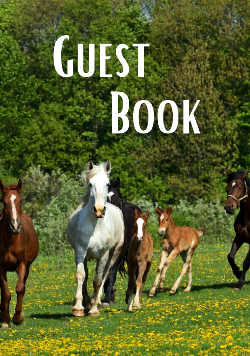 Guest Book: Wonderful Guest Book For Horses, Airbnb, Rental Property, Guest House, Vacation Home, Home Visitors