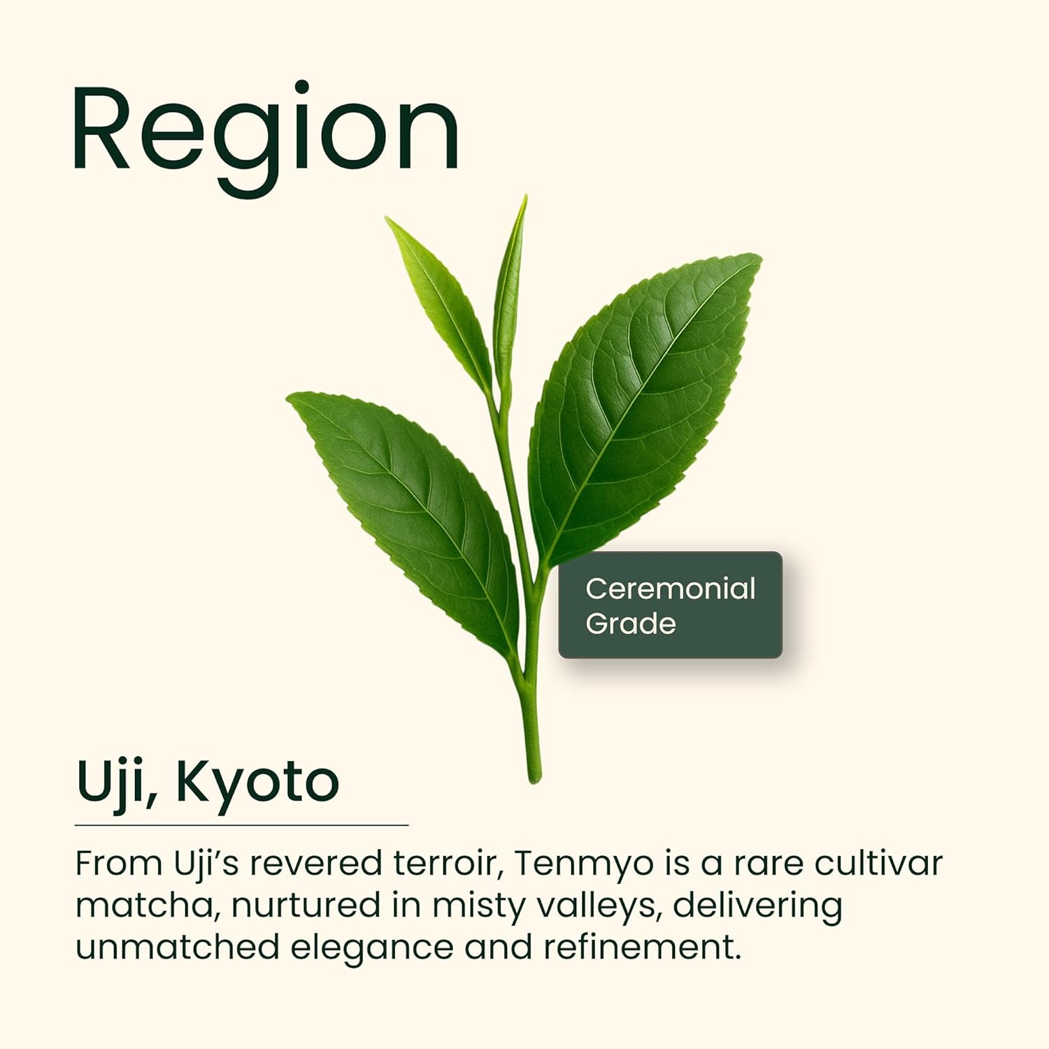 Heapwell Matcha Ceremonial Grade, Kyoto Uji - 30g | Finest AAA Japanese Green Tea Powder | Tenmyo Cultivar Limited Edition | Premium Asahi & Samidori Variety | Perfect for Tea, Lattes, Smoothies