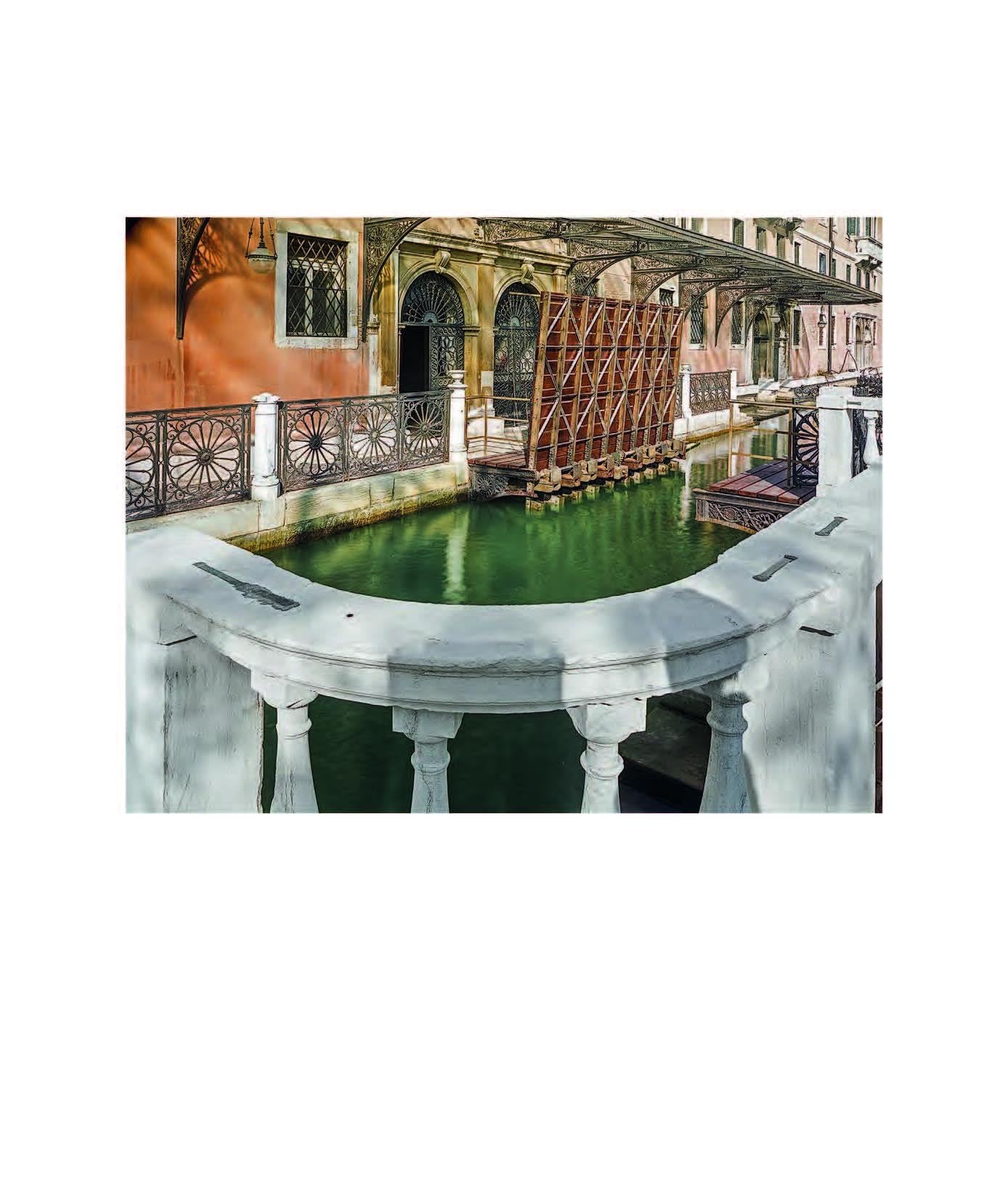 I giardini reali di Venezia. Ediz. italiana e inglese