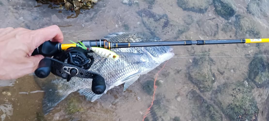 Amazon | AbuGarcia (アブガルシア) ソルティースタイル カラーズ