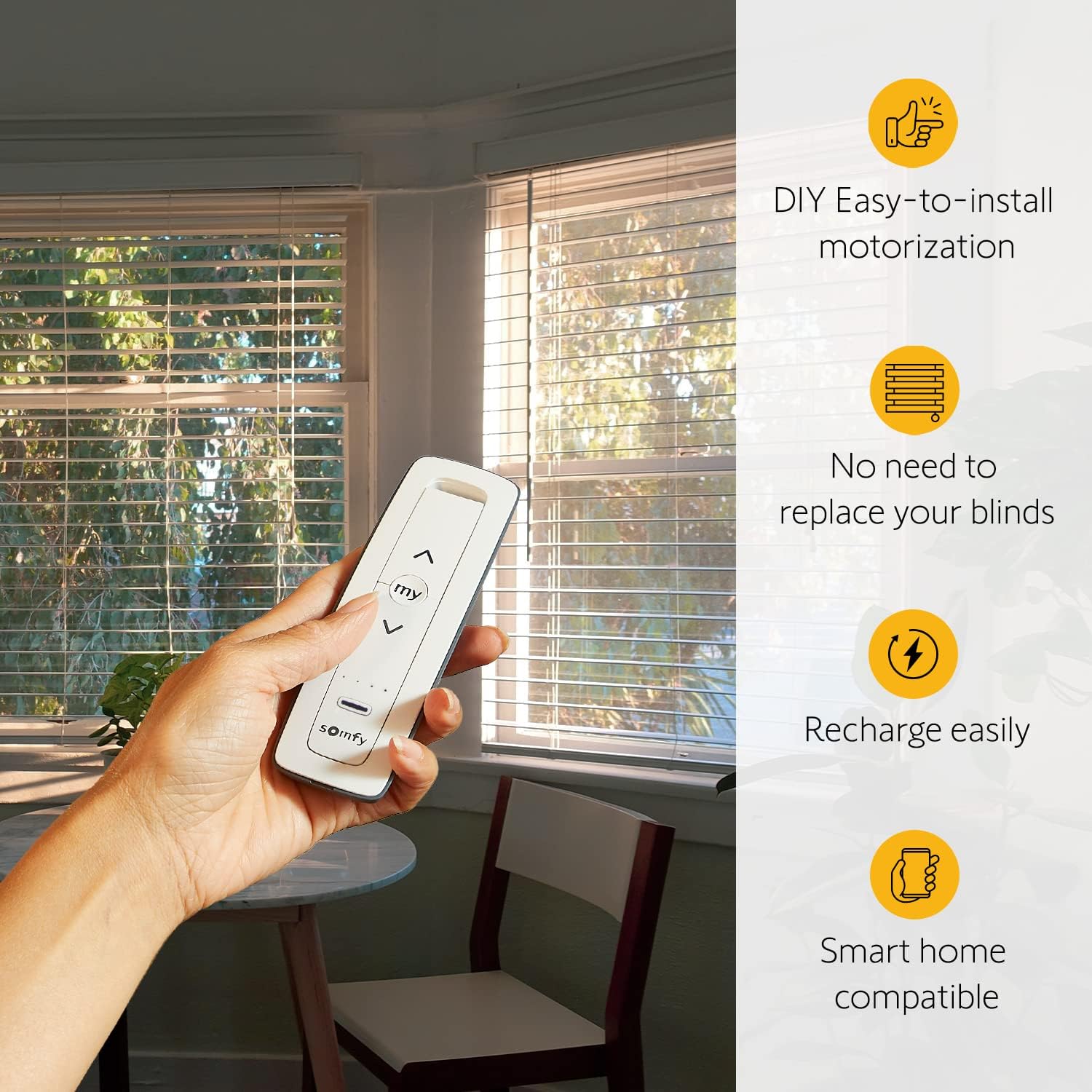 Buy Somfy Clever Tilt Blind Motor Kit 2 Pack Fits Your Existing 2