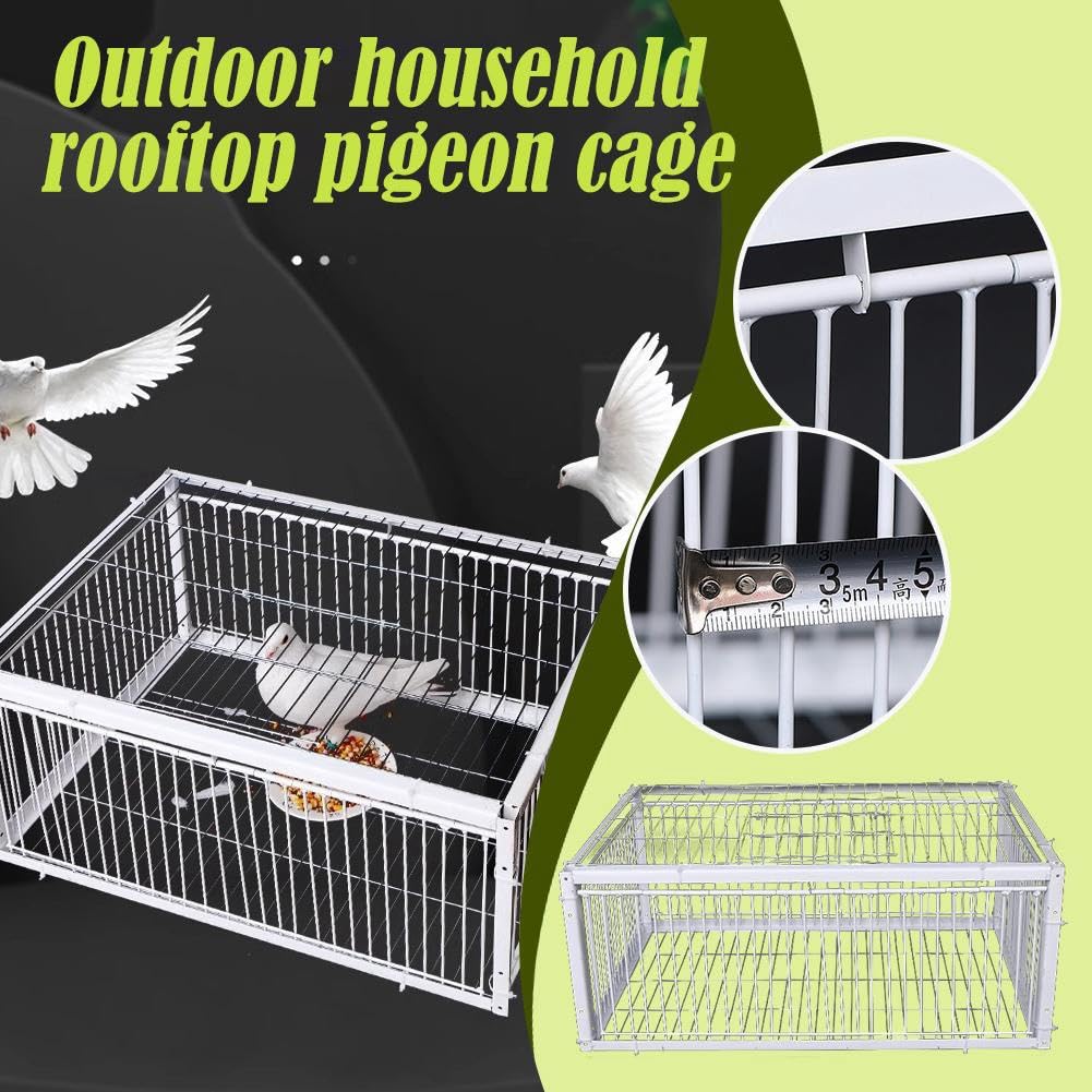 Cage à Oiseaux Portable, Petite, Épaisse et Cryptée, Piège Automatique pour la Collecte des Pigeons