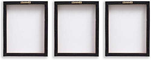 Miniatura 4 de Patton Wall Decor 8x10 Suculentas sobre madera, juego de 3 lienzos artísticos