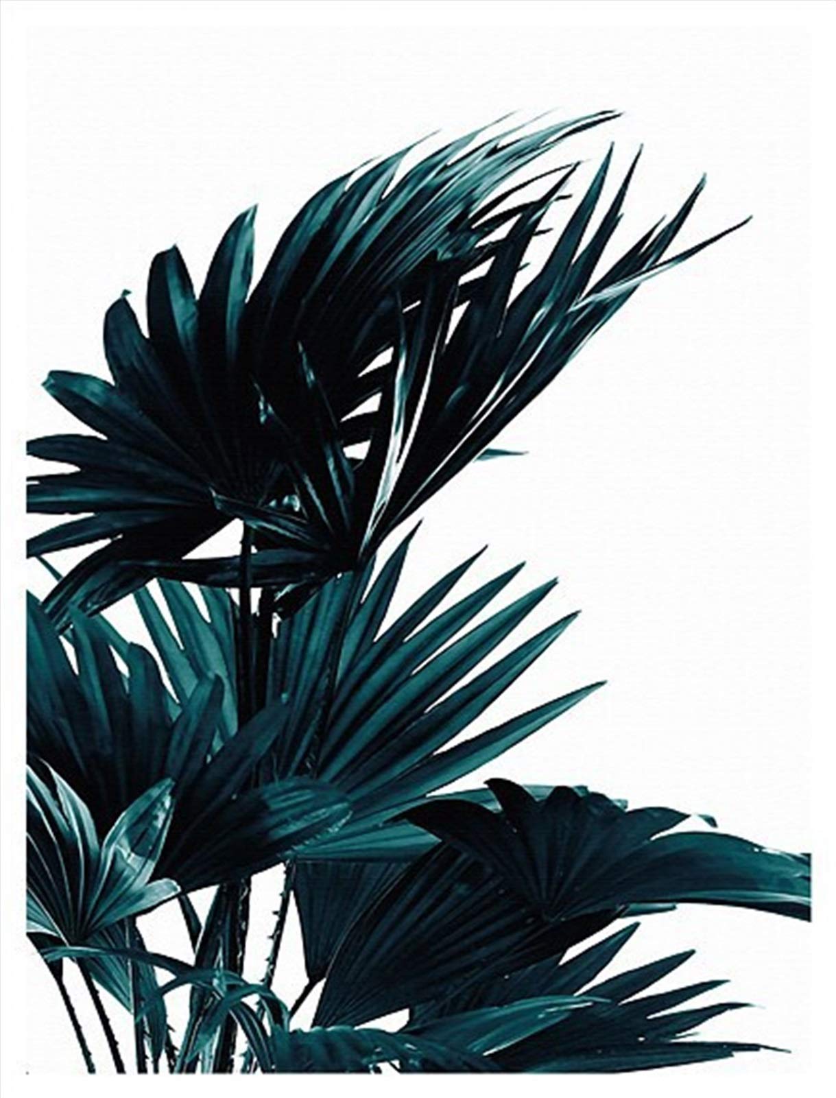 Dujie Home decor canvas Scandinavian Modern Minimalist Green Plants Wall Painting Core Living Room Sofa Decorative Painting Murals Entrance Bedroom Unframed (Color : B, Size : 15 * 20cm no frame)