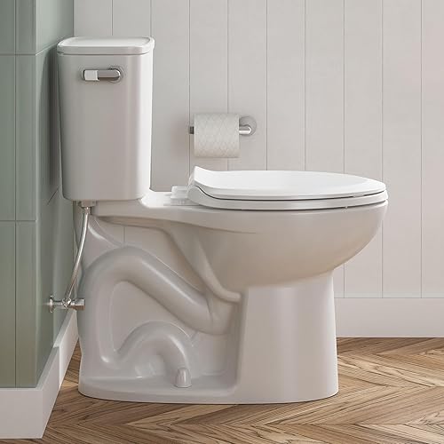 Miniatura 2 de American Standard 7061230.002 Aspirations - Portarrollos de papel higiénico, cromo pulido