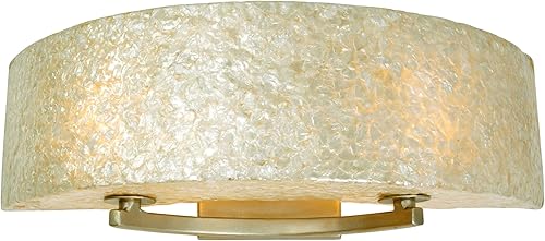 varaluz 173b022luz 23" de ancho sostenible carcasa Radio Fixture de baño de la R,, Amarillo, 173B02A, 40watts, 220 volts