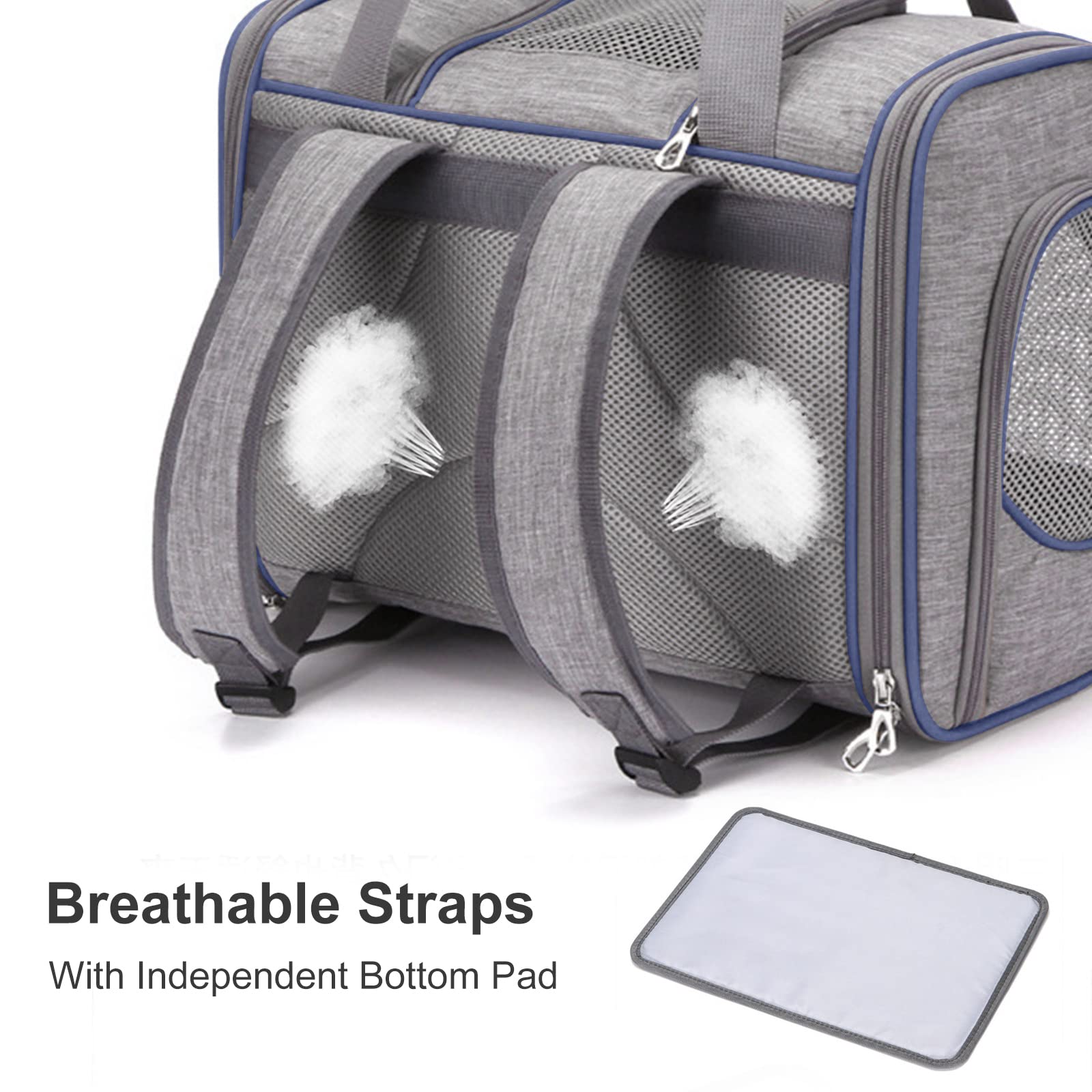 PETCUTE Mochilas para Perros Gatos,Mochila Transportín Gato,Mochila Plegable Transportin para Perro Gato,Transpirable Bolsa de Transporte para Mascotas Gatos Perros con Almohadilla Removible