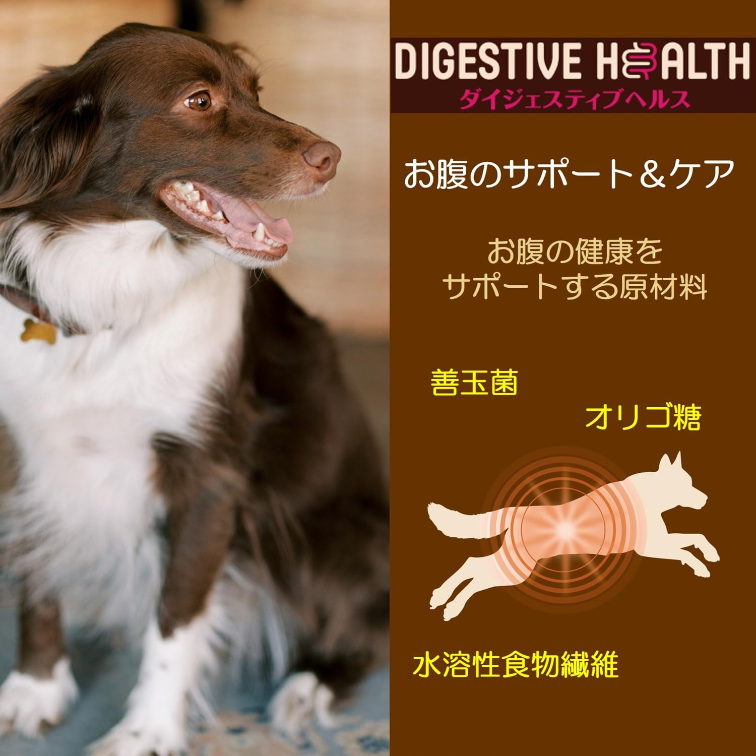 【在庫処分】ウェルネスコアダイジェスティブヘルス 消化器ケア子犬用(離乳期‐1歳 ウェルネス コア ダイジェスティブヘルス 犬用エイジングケア 骨抜き