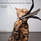 Ver la foto 3