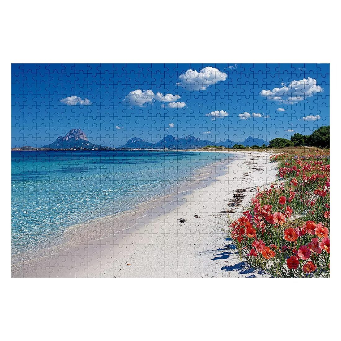 Puzzle 2000 Sztuk Plaża, Kwiat Dorosłych Puzzle Klasyczne Puzzle Wyzwanie Edukacyjne Zabawki dla Rodziny, Niemożliwe Drewniane Puzzle z Pudełkiem na Prezent, Dekoracja Ścienna-2131