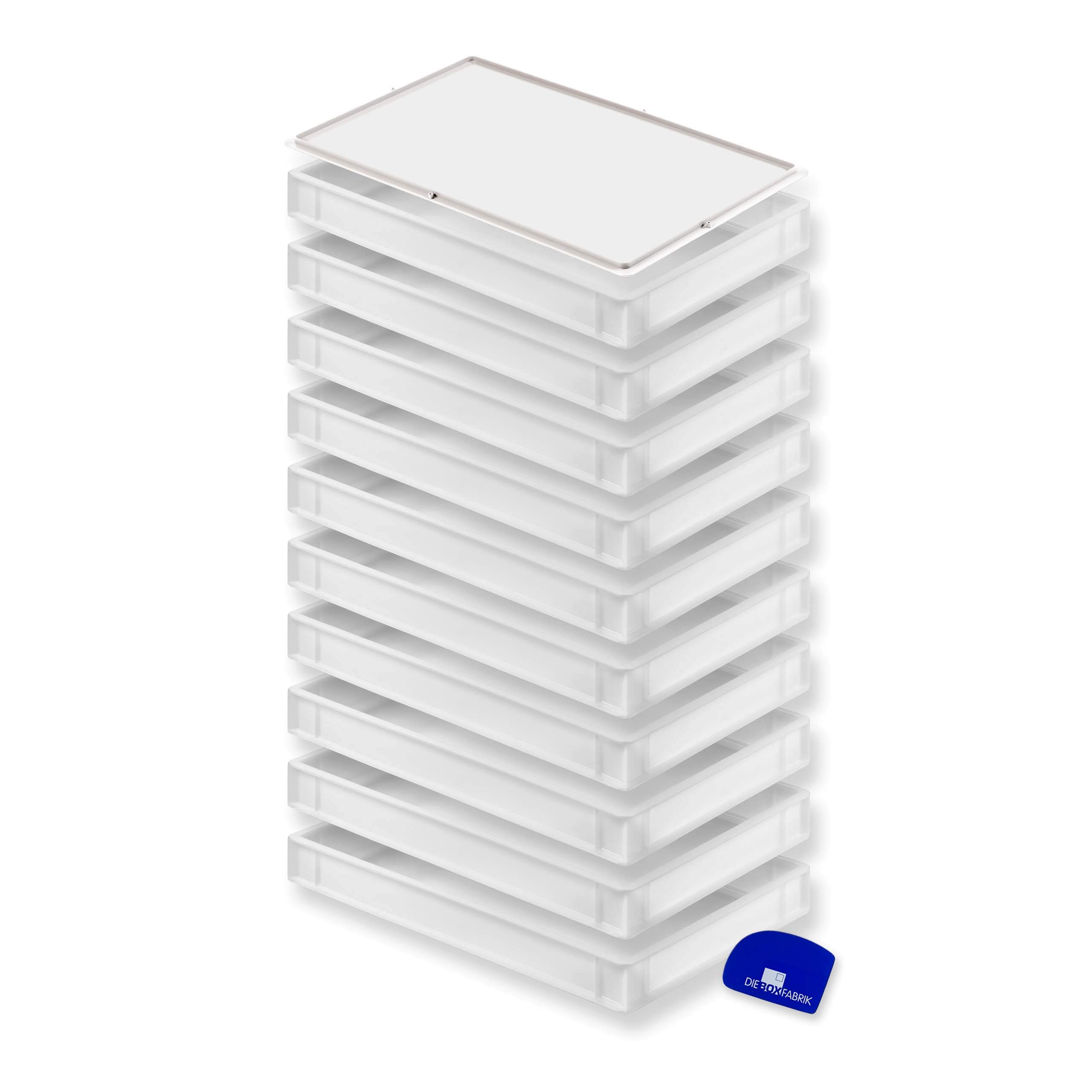 Pizzaballenbox Ckel 60x40x7,6cm Kunststoffbehälter Für Teig, Teigbox, Pizza