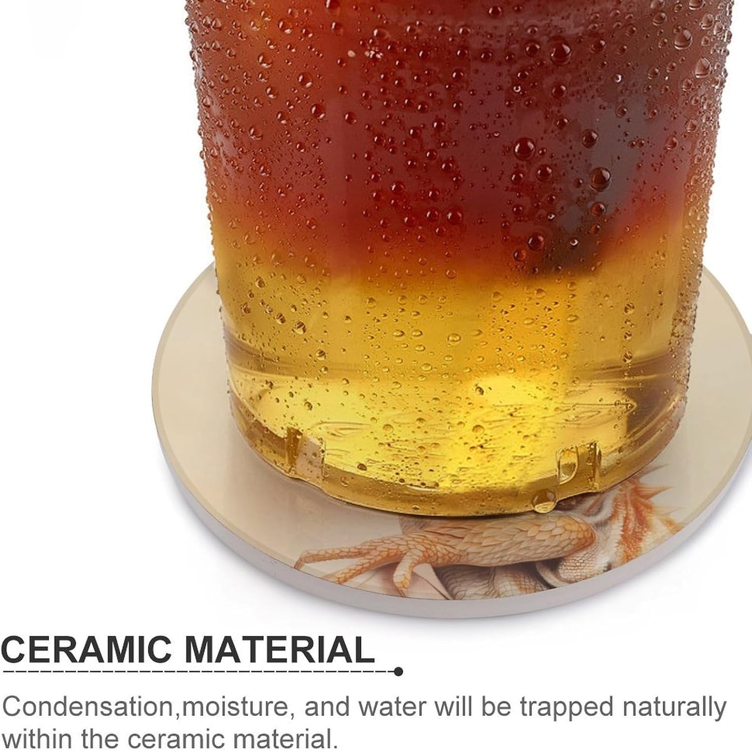 Horned Lizard Round Ceramic Coasters for Drinks Absorbent Cup Holder Tabletop Protector with Cork Base