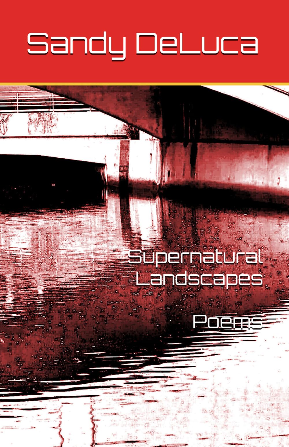 Cover of Supernatural Landscapes