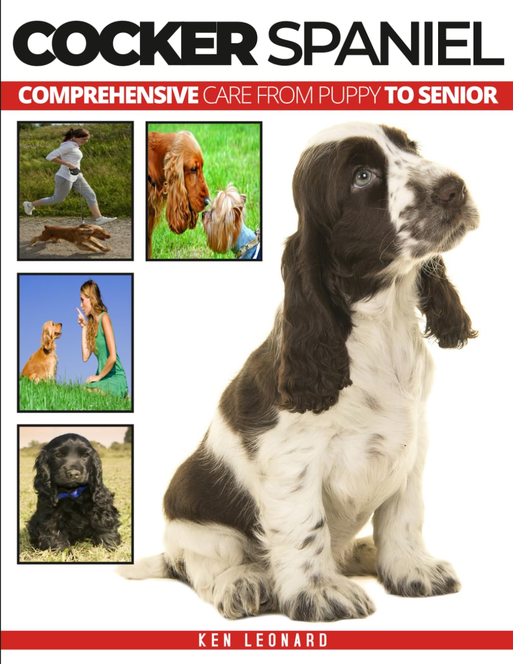 COCKER SPANIEL: Comprehensive Care from Puppy to Senior