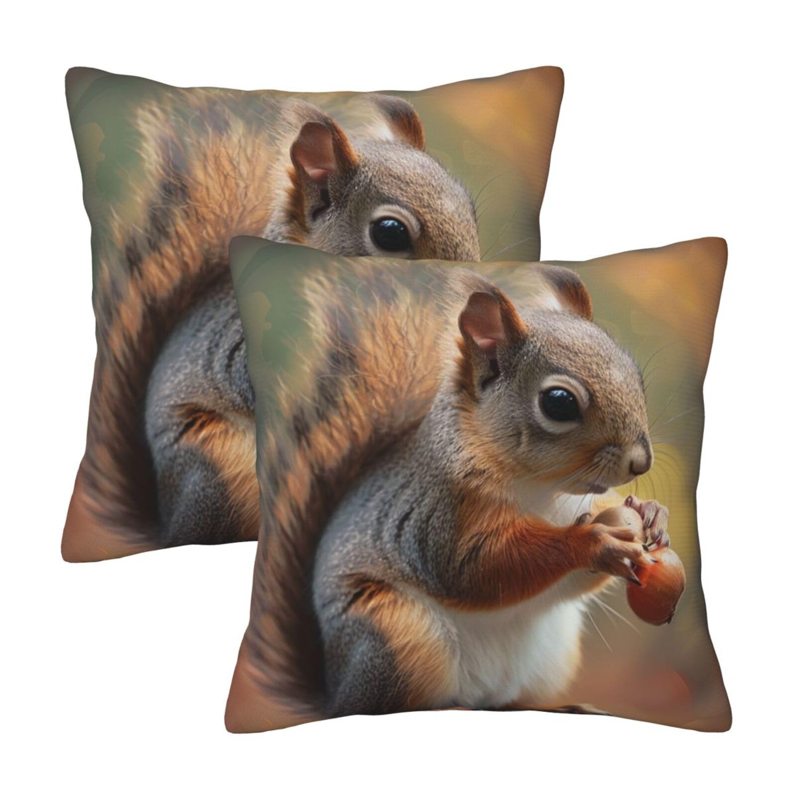 Cute Squirrel Throw Pillow Cases 2 Pack Square Pillowcases Soft Pillow Protectors for Couch Livingroom Sofa Bed Office Car,30x30 CM