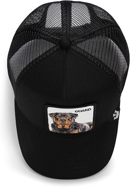 Goorin Bros. Baseball - Casquette de Baseball - Homme - 4