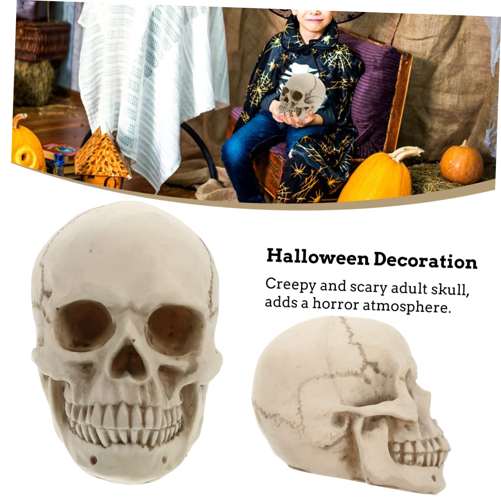 Mipcase Modelo de Cráneo Humano de Resina Real para Decoración de Halloween Utilería Artística y Estudio de Anatomía Cráneo Humano Detallado
